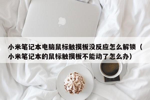 小米筆記本電腦鼠標觸摸板沒反應怎么解鎖（小米筆記本的鼠標觸摸板不能動了怎么辦）-第1張圖片-晉江速捷自動化科技有限公司