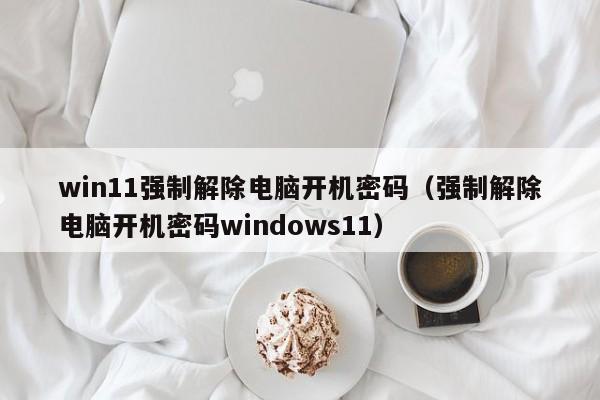 win11強(qiáng)制解除電腦開(kāi)機(jī)密碼（強(qiáng)制解除電腦開(kāi)機(jī)密碼windows11）-第1張圖片-晉江速捷自動(dòng)化科技有限公司