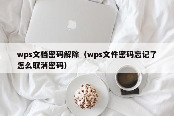 wps文檔密碼解除（wps文件密碼忘記了怎么取消密碼）-第1張圖片-晉江速捷自動化科技有限公司