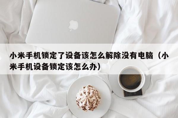 小米手機(jī)鎖定了設(shè)備該怎么解除沒(méi)有電腦（小米手機(jī)設(shè)備鎖定該怎么辦）-第1張圖片-晉江速捷自動(dòng)化科技有限公司
