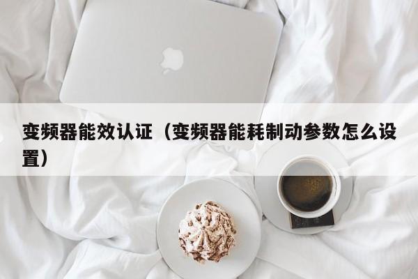 變頻器能效認證（變頻器能耗制動參數怎么設置）-第1張圖片-晉江速捷自動化科技有限公司