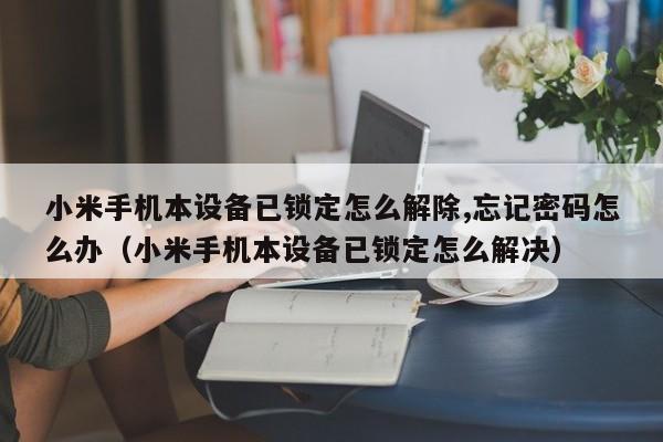 小米手機本設備已鎖定怎么解除,忘記密碼怎么辦（小米手機本設備已鎖定怎么解決）-第1張圖片-晉江速捷自動化科技有限公司