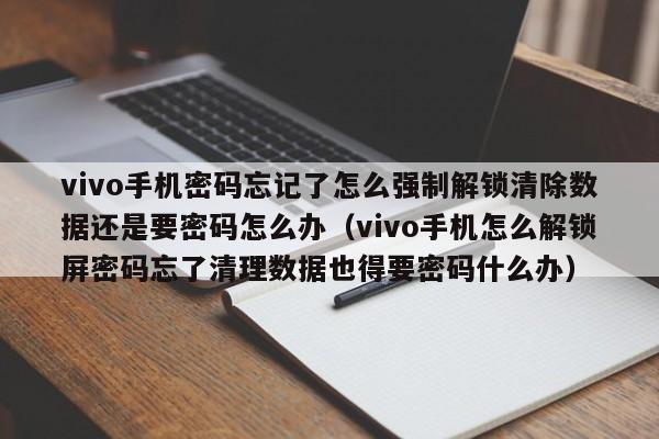 vivo手機(jī)密碼忘記了怎么強(qiáng)制解鎖清除數(shù)據(jù)還是要密碼怎么辦（vivo手機(jī)怎么解鎖屏密碼忘了清理數(shù)據(jù)也得要密碼什么辦）-第1張圖片-晉江速捷自動化科技有限公司