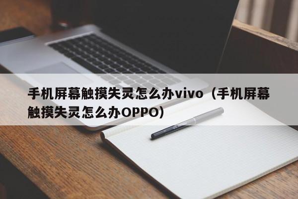 手機屏幕觸摸失靈怎么辦vivo（手機屏幕觸摸失靈怎么辦OPPO）-第1張圖片-晉江速捷自動化科技有限公司