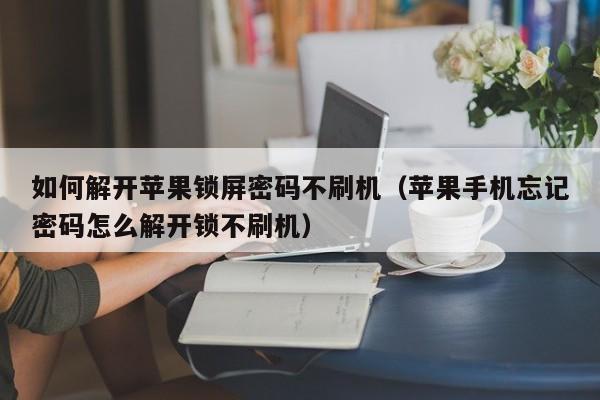 如何解開蘋果鎖屏密碼不刷機（蘋果手機忘記密碼怎么解開鎖不刷機）-第1張圖片-晉江速捷自動化科技有限公司
