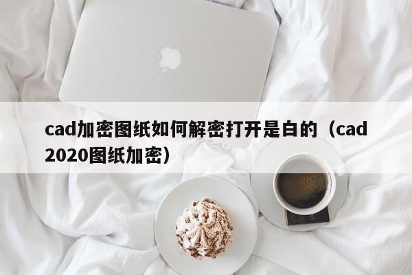 cad加密圖紙如何解密打開是白的（cad2020圖紙加密）-第1張圖片-晉江速捷自動化科技有限公司