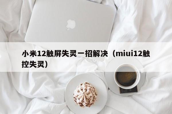 小米12觸屏失靈一招解決（miui12觸控失靈）-第1張圖片-晉江速捷自動(dòng)化科技有限公司