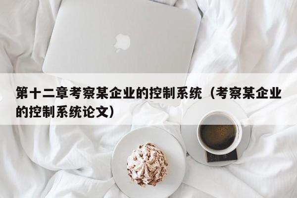 第十二章考察某企業(yè)的控制系統(tǒng)（考察某企業(yè)的控制系統(tǒng)論文）-第1張圖片-晉江速捷自動(dòng)化科技有限公司
