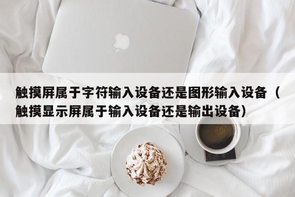 觸摸屏屬于字符輸入設備還是圖形輸入設備（觸摸顯示屏屬于輸入設備還是輸出設備）-第1張圖片-晉江速捷自動化科技有限公司