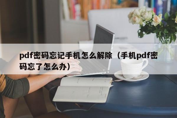pdf密碼忘記手機怎么解除（手機pdf密碼忘了怎么辦）-第1張圖片-晉江速捷自動化科技有限公司