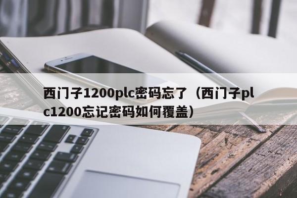 西門子1200plc密碼忘了（西門子plc1200忘記密碼如何覆蓋）-第1張圖片-晉江速捷自動化科技有限公司