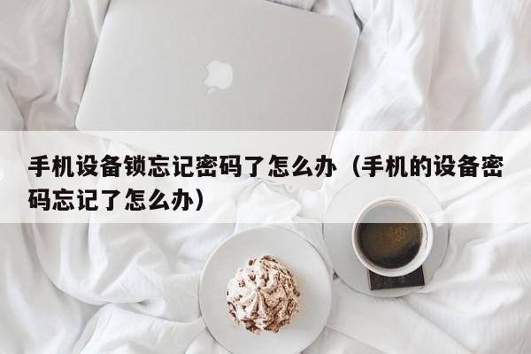 手機設備鎖忘記密碼了怎么辦（手機的設備密碼忘記了怎么辦）-第1張圖片-晉江速捷自動化科技有限公司