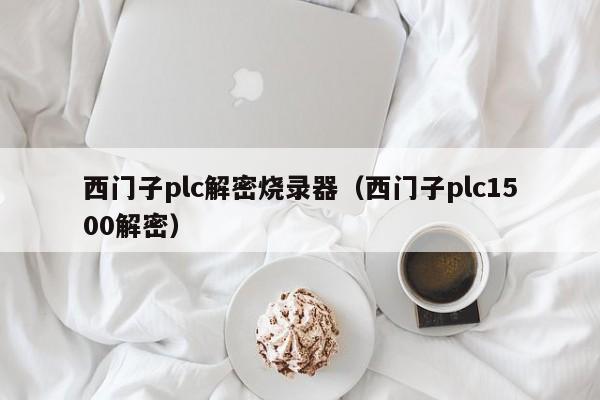 西門子plc解密燒錄器（西門子plc1500解密）-第1張圖片-晉江速捷自動化科技有限公司
