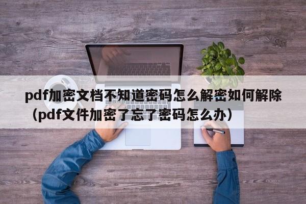 pdf加密文檔不知道密碼怎么解密如何解除（pdf文件加密了忘了密碼怎么辦）-第1張圖片-晉江速捷自動化科技有限公司