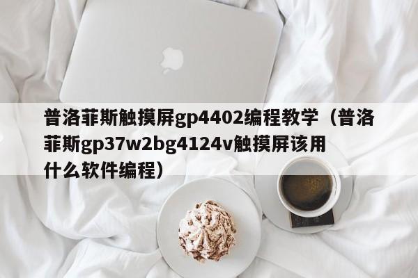 普洛菲斯觸摸屏gp4402編程教學（普洛菲斯gp37w2bg4124v觸摸屏該用什么軟件編程）-第1張圖片-晉江速捷自動化科技有限公司