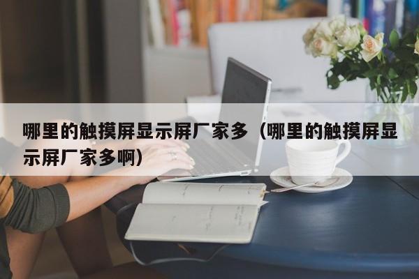 哪里的觸摸屏顯示屏廠家多（哪里的觸摸屏顯示屏廠家多啊）-第1張圖片-晉江速捷自動化科技有限公司