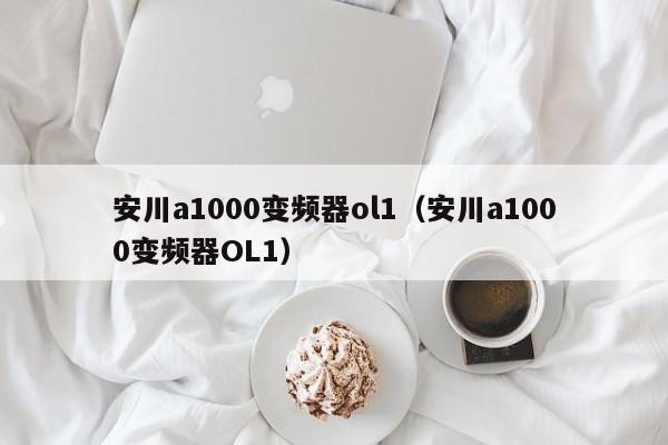 安川a1000變頻器ol1（安川a1000變頻器OL1）-第1張圖片-晉江速捷自動(dòng)化科技有限公司
