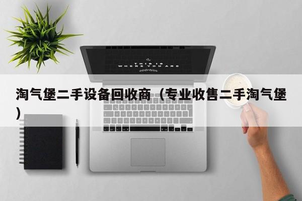 淘氣堡二手設(shè)備回收商（專業(yè)收售二手淘氣堡）-第1張圖片-晉江速捷自動(dòng)化科技有限公司