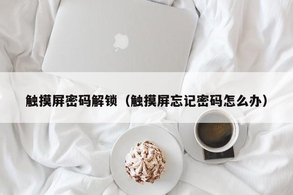 觸摸屏密碼解鎖（觸摸屏忘記密碼怎么辦）-第1張圖片-晉江速捷自動化科技有限公司