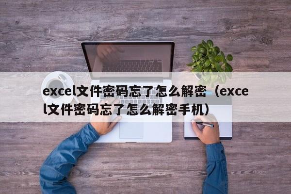 excel文件密碼忘了怎么解密（excel文件密碼忘了怎么解密手機）-第1張圖片-晉江速捷自動化科技有限公司