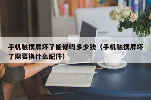 手機觸摸屏壞了能修嗎多少錢（手機觸摸屏壞了需要換什么配件）-第1張圖片-晉江速捷自動化科技有限公司
