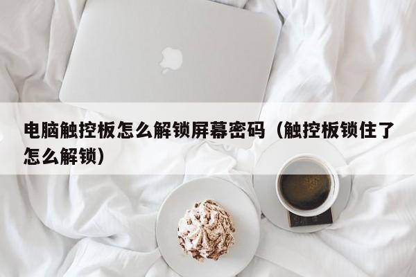 電腦觸控板怎么解鎖屏幕密碼（觸控板鎖住了怎么解鎖）-第1張圖片-晉江速捷自動化科技有限公司