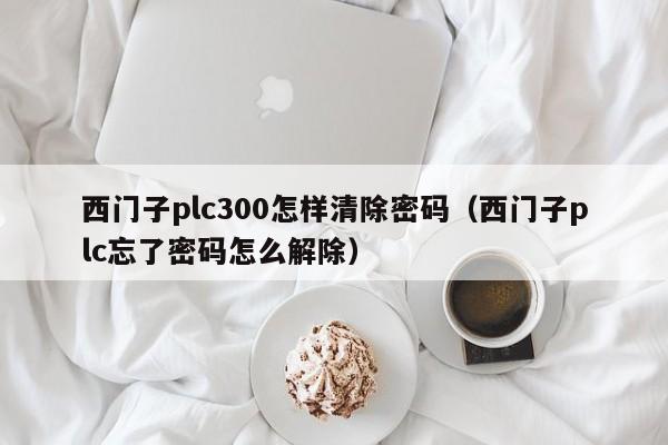西門子plc300怎樣清除密碼（西門子plc忘了密碼怎么解除）-第1張圖片-晉江速捷自動化科技有限公司