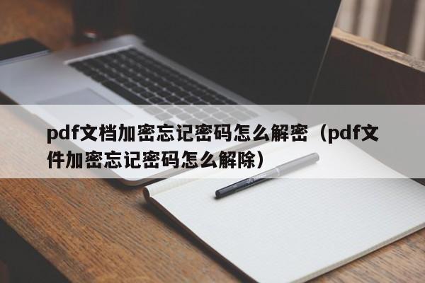 pdf文檔加密忘記密碼怎么解密（pdf文件加密忘記密碼怎么解除）-第1張圖片-晉江速捷自動化科技有限公司