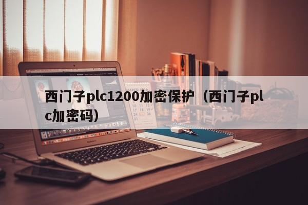 西門子plc1200加密保護（西門子plc加密碼）-第1張圖片-晉江速捷自動化科技有限公司