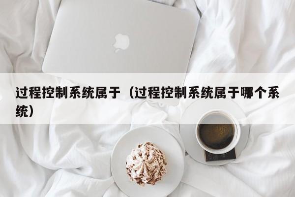 過程控制系統屬于（過程控制系統屬于哪個系統）-第1張圖片-晉江速捷自動化科技有限公司