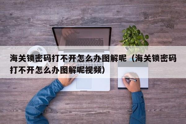 海關(guān)鎖密碼打不開怎么辦圖解呢（海關(guān)鎖密碼打不開怎么辦圖解呢視頻）-第1張圖片-晉江速捷自動(dòng)化科技有限公司