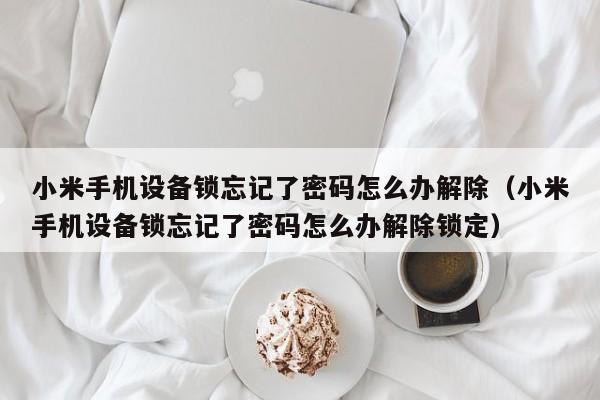 小米手機設(shè)備鎖忘記了密碼怎么辦解除（小米手機設(shè)備鎖忘記了密碼怎么辦解除鎖定）-第1張圖片-晉江速捷自動化科技有限公司