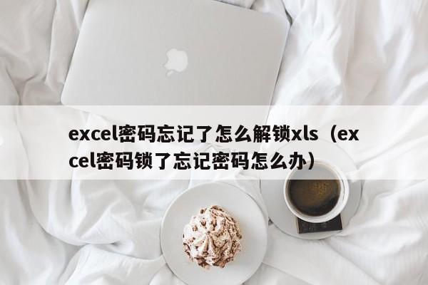 excel密碼忘記了怎么解鎖xls（excel密碼鎖了忘記密碼怎么辦）-第1張圖片-晉江速捷自動(dòng)化科技有限公司
