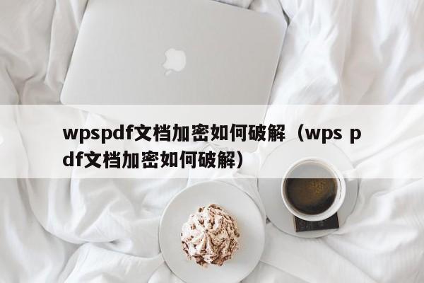 wpspdf文檔加密如何破解（wps pdf文檔加密如何破解）-第1張圖片-晉江速捷自動化科技有限公司