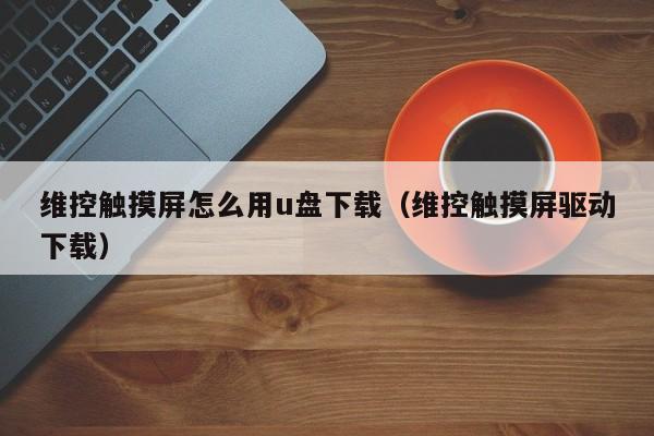 維控觸摸屏怎么用u盤下載（維控觸摸屏驅動下載）-第1張圖片-晉江速捷自動化科技有限公司