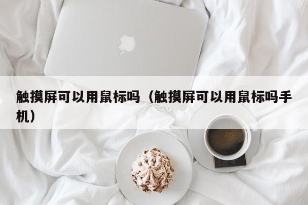 觸摸屏可以用鼠標嗎（觸摸屏可以用鼠標嗎手機）-第1張圖片-晉江速捷自動化科技有限公司