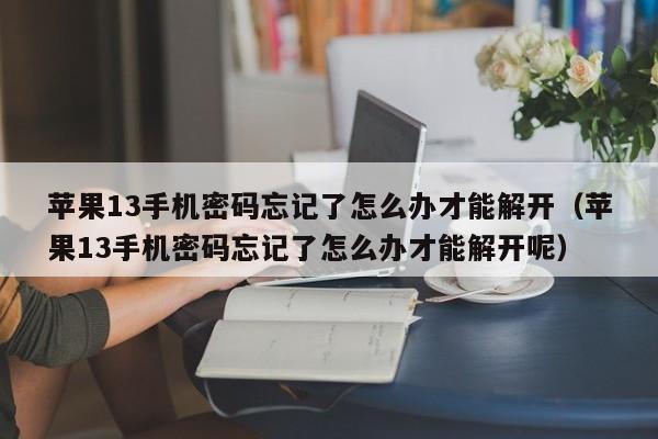 蘋果13手機密碼忘記了怎么辦才能解開（蘋果13手機密碼忘記了怎么辦才能解開呢）-第1張圖片-晉江速捷自動化科技有限公司