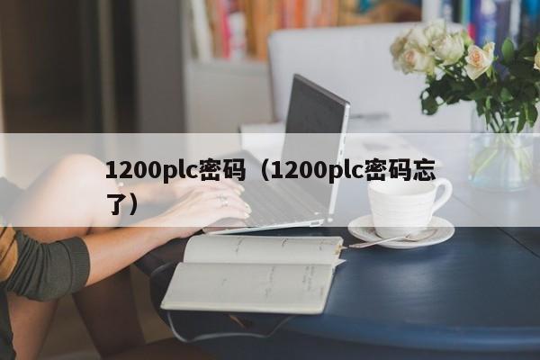 1200plc密碼（1200plc密碼忘了）-第1張圖片-晉江速捷自動(dòng)化科技有限公司