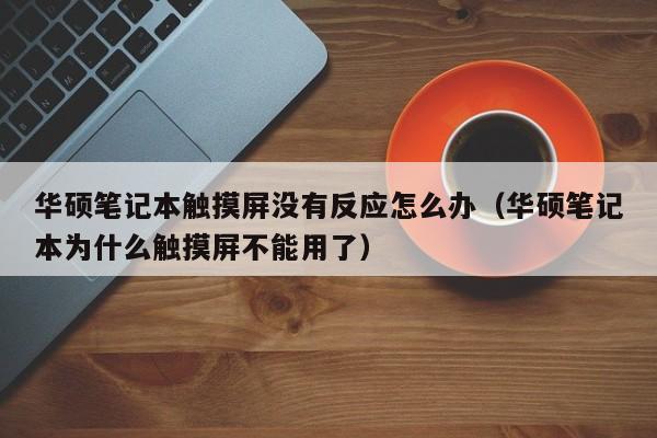 華碩筆記本觸摸屏沒有反應(yīng)怎么辦（華碩筆記本為什么觸摸屏不能用了）-第1張圖片-晉江速捷自動化科技有限公司