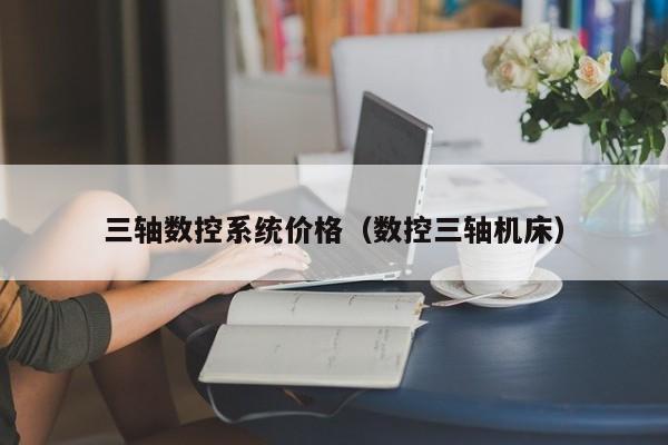 三軸數(shù)控系統(tǒng)價(jià)格（數(shù)控三軸機(jī)床）-第1張圖片-晉江速捷自動(dòng)化科技有限公司