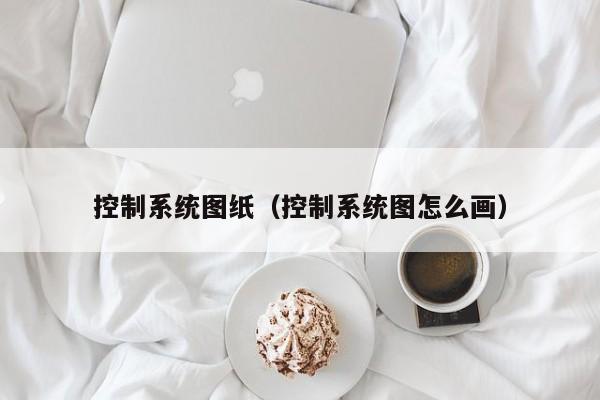 控制系統圖紙（控制系統圖怎么畫）-第1張圖片-晉江速捷自動化科技有限公司