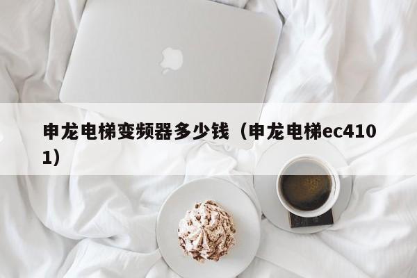 申龍電梯變頻器多少錢（申龍電梯ec4101）-第1張圖片-晉江速捷自動化科技有限公司