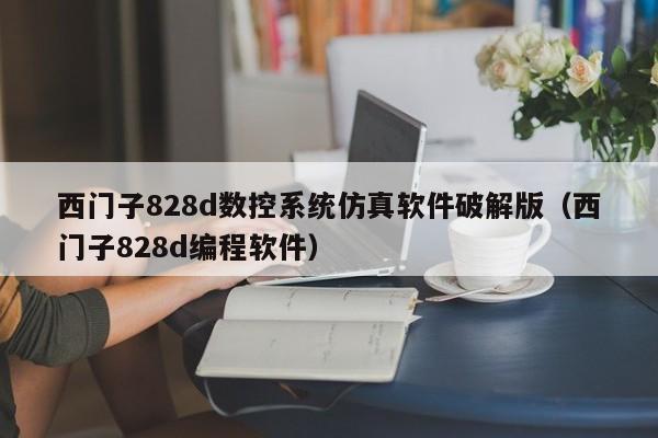西門子828d數(shù)控系統(tǒng)仿真軟件破解版（西門子828d編程軟件）-第1張圖片-晉江速捷自動化科技有限公司