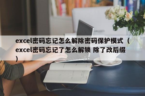 excel密碼忘記怎么解除密碼保護模式（excel密碼忘記了怎么解鎖 除了改后綴）-第1張圖片-晉江速捷自動化科技有限公司