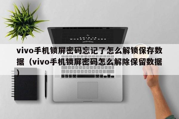 vivo手機(jī)鎖屏密碼忘記了怎么解鎖保存數(shù)據(jù)（vivo手機(jī)鎖屏密碼怎么解除保留數(shù)據(jù)）-第1張圖片-晉江速捷自動(dòng)化科技有限公司