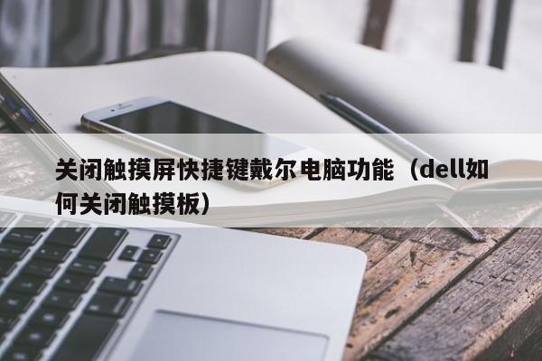 關(guān)閉觸摸屏快捷鍵戴爾電腦功能（dell如何關(guān)閉觸摸板）-第1張圖片-晉江速捷自動(dòng)化科技有限公司