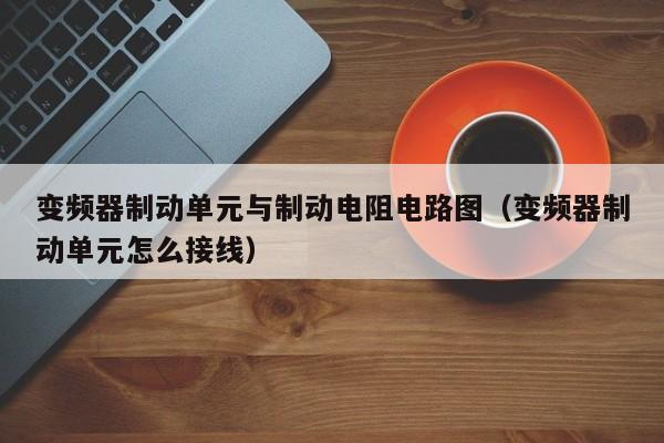 變頻器制動單元與制動電阻電路圖（變頻器制動單元怎么接線）-第1張圖片-晉江速捷自動化科技有限公司