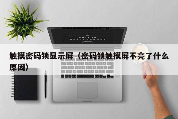 觸摸密碼鎖顯示屏（密碼鎖觸摸屏不亮了什么原因）-第1張圖片-晉江速捷自動化科技有限公司