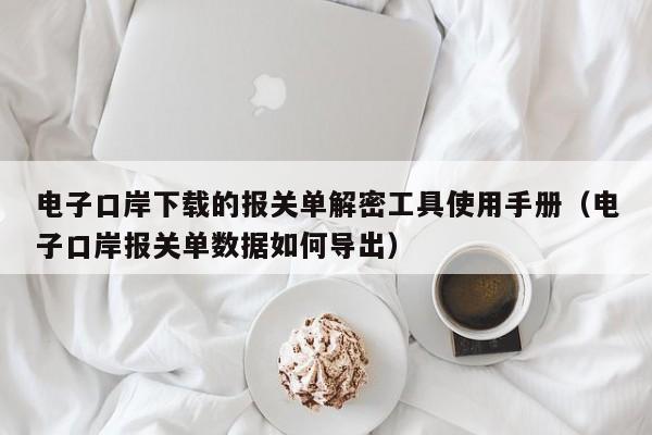 電子口岸下載的報關單解密工具使用手冊（電子口岸報關單數據如何導出）-第1張圖片-晉江速捷自動化科技有限公司