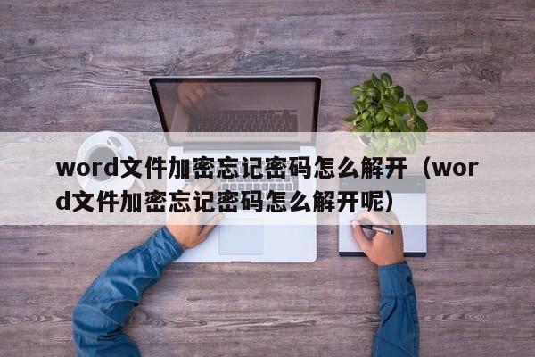 word文件加密忘記密碼怎么解開（word文件加密忘記密碼怎么解開呢）-第1張圖片-晉江速捷自動化科技有限公司